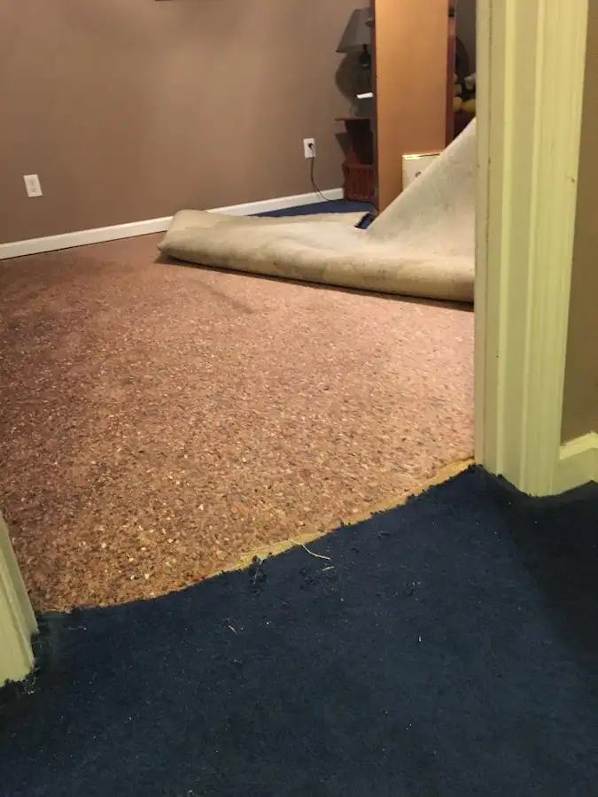 Carpet pad removal revealing water damage during Drying & Dehumidification in Unionville