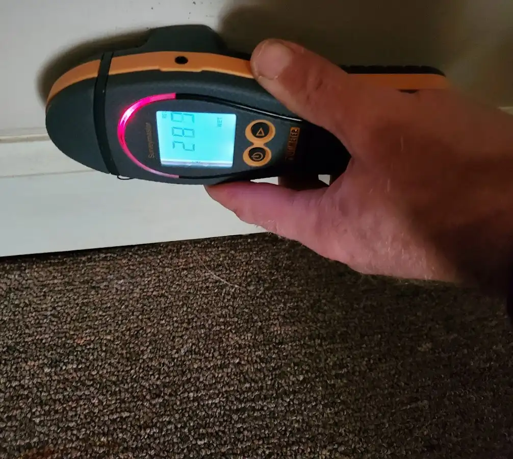 Moisture detection at baseboard during Sewage Cleanup & Sanitation in Unionville